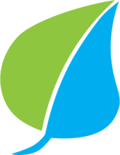 An illustration of a leaf with the left side coloured green and the right side coloured blue.
